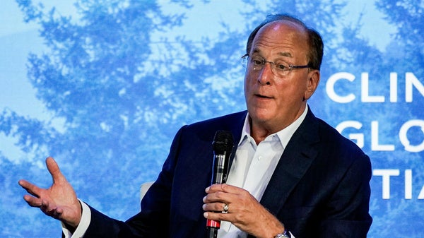 Vinsten bättre än väntat från Blackrock​​