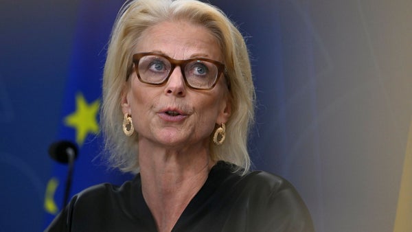 Svantesson: Utdragen tullosäkerhet oroar​​