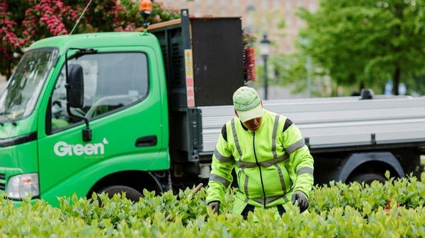 Skuldsättningen ökar för Green Landscaping – aktien rasar​​