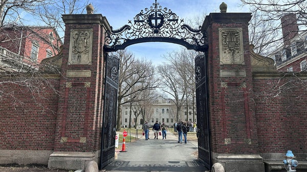 Harvard stämmer Trumps regering​​