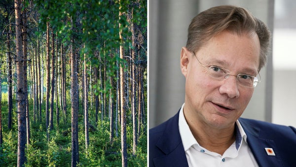 Sjunkande resultat för Stora Enso: ”Vi går i rätt riktning”​​