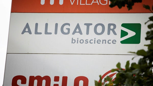 Alligator Bioscience rapporterar – minskar förlust​​