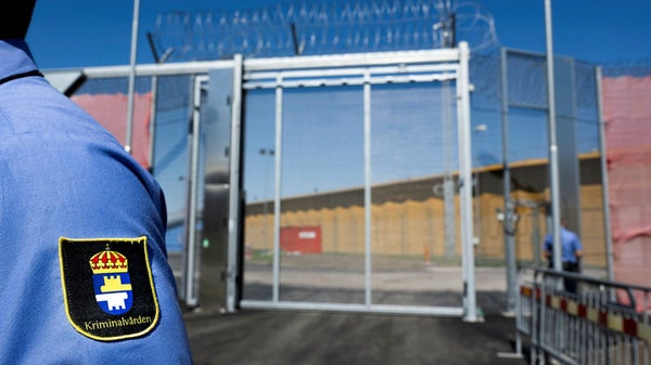 Kvinnomisshandlare hör hemma på anstalt​​