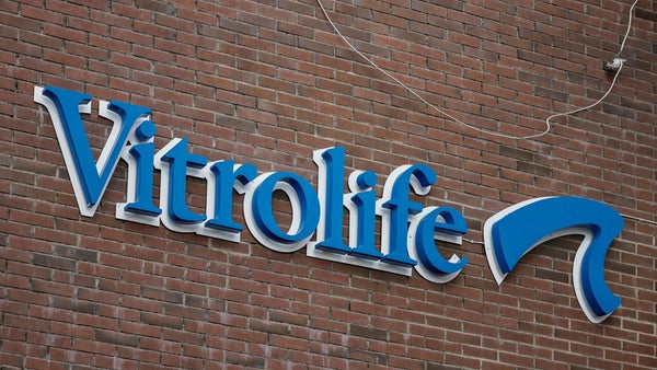 Vitrolife visar dystra siffror​​