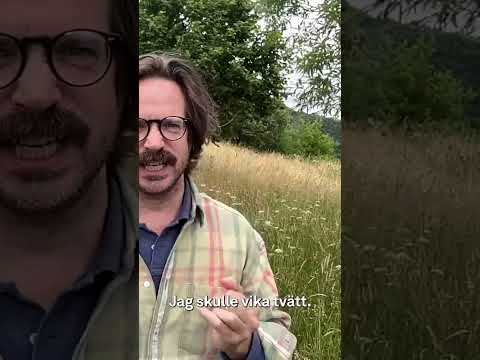Startsida I veckans Börssurr poddar Gabriel från Transsylvanien och Henrik från Abbekås.
