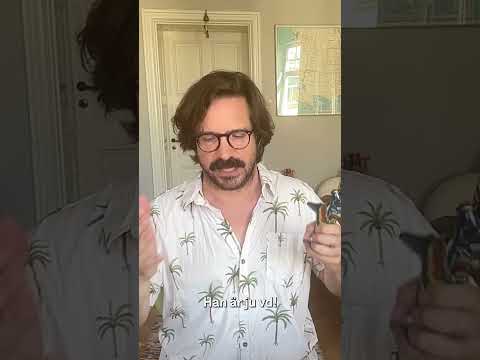 Ska man äga Scandi Standard, kyckligbolaget med många problem i backspegeln?