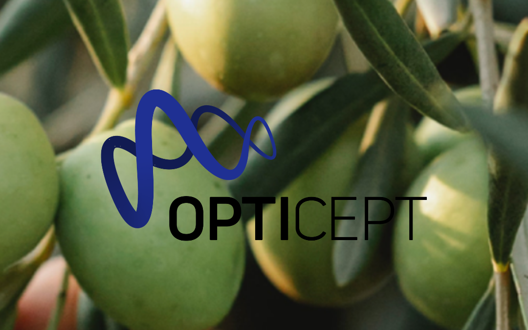Q2: OptiCept – Stark orderingång och kommersiella genombrott, men fortsatt låg omsättning och stora förluster