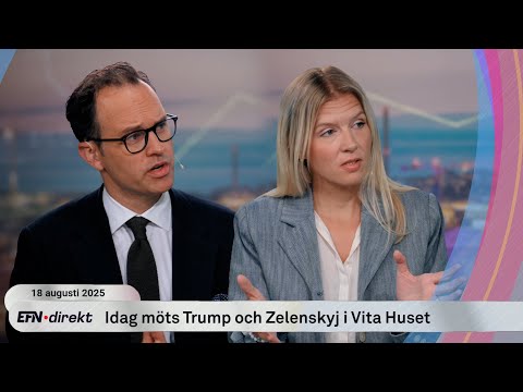 Europas mäktigaste möts i USA – ”Vill se att Ukraina sätter villkoren”