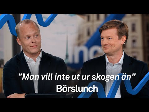 En barnportfölj och Lidingös skilsmässofastigheter